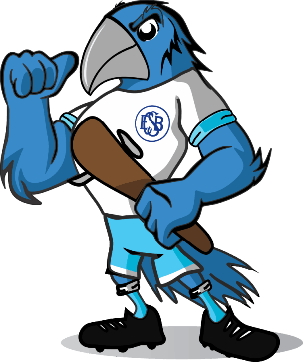 Esporte Clube São Bento Sorocaba